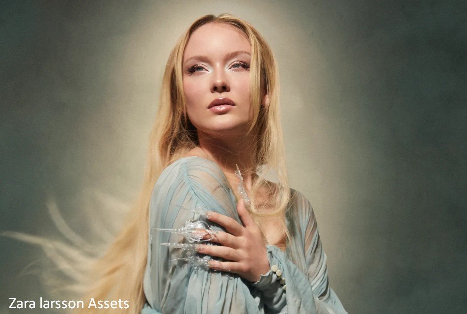 Zara larsson Assets